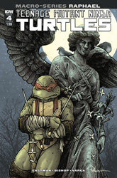 IDW' TMNT Macro-Series #04