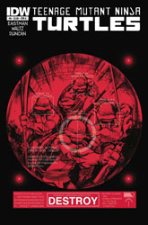 IDW' TMNT Volume 1 #06