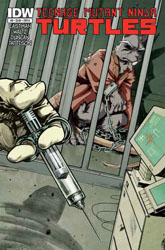 IDW' TMNT Volume 1 #09