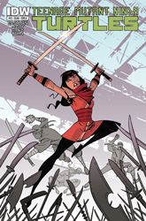 IDW' TMNT Volume 1 #13