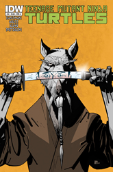IDW' TMNT Volume 1 #14