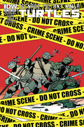 IDW' TMNT Volume 1 #15