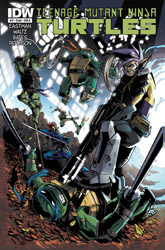 IDW' TMNT Volume 1 #17