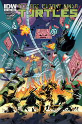 IDW' TMNT Volume 1 #18