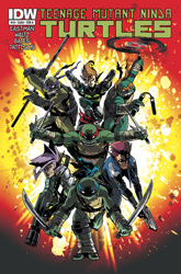 IDW' TMNT Volume 1 #19