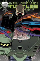 IDW' TMNT Volume 1 #20