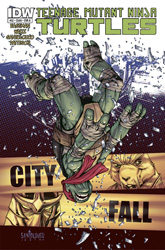 IDW' TMNT Volume 1 #22