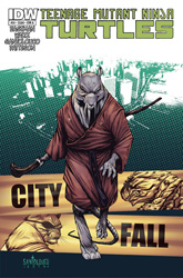 IDW' TMNT Volume 1 #24