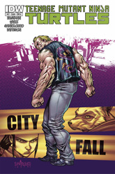 IDW' TMNT Volume 1 #27