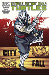 IDW' TMNT Volume 1 #28