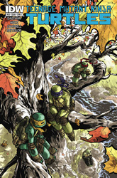 IDW' TMNT Volume 1 #29