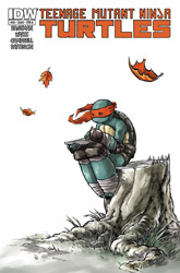 IDW' TMNT Volume 1 #30