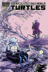 IDW' TMNT Volume 1 #31