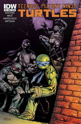 IDW' TMNT Volume 1 #33