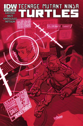 IDW' TMNT Volume 1 #34