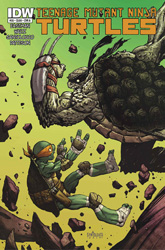 IDW' TMNT Volume 1 #35