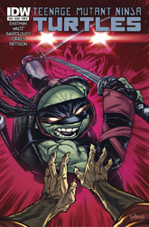 IDW' TMNT Volume 1 #36