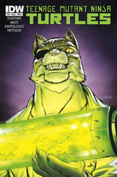 IDW' TMNT Volume 1 #38