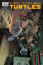 IDW' TMNT Volume 1 #39