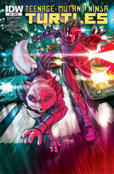 IDW' TMNT Volume 1 #40