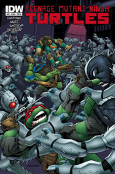 IDW' TMNT Volume 1 #43