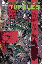 IDW' TMNT Volume 1 #47