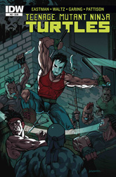 IDW' TMNT Volume 1 #52