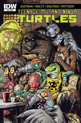 IDW' TMNT Volume 1 #53