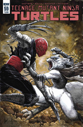 IDW' TMNT Volume 1 #59