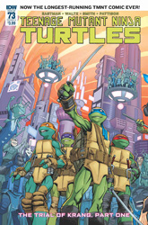 IDW' TMNT Volume 1 #73