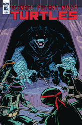 IDW' TMNT Volume 1 #85