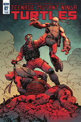 IDW' TMNT Volume 1 #87