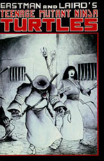 Mirage' TMNT Volume 1 #17