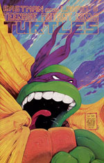 Mirage' TMNT Volume 1 #22