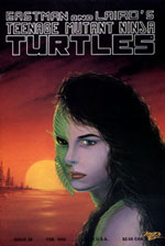 Mirage' TMNT Volume 1 #28