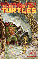 Mirage' TMNT Volume 1 #37