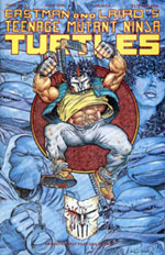 Mirage' TMNT Volume 1 #48