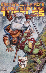 Mirage' TMNT Volume 1 #49