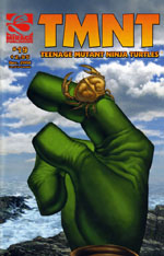 Mirage' TMNT Volume 4 #19