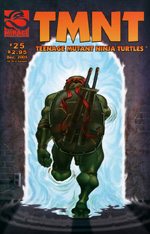 Mirage' TMNT Volume 4 #25