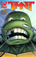 Mirage' TMNT Volume 4 #28
